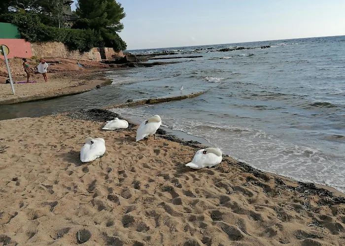 Apartamento Estivales 2 *