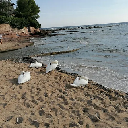 Apartment Estivales 2 *